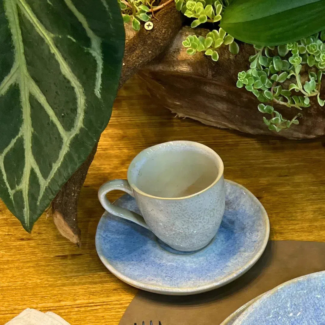 Jogo 6 Xícaras de Chá Stoneware Bio Wave 210ml Porto Brasil
